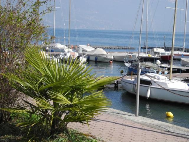 Apartament Casa Matisse Pianello Del Lario Zewnętrze zdjęcie